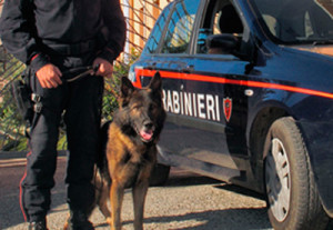 carabinieri-cinofili-ricerche-