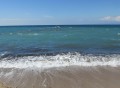 mare