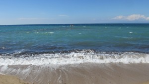 mare