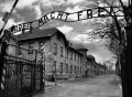 Shoah-Aushuiwtz-527x350