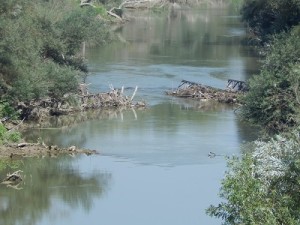 GRAZZANISE I resti di un vecchio ponte negletti nell'alveo del Volturno 030817