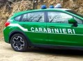 Carabinieri-Forestale-auto