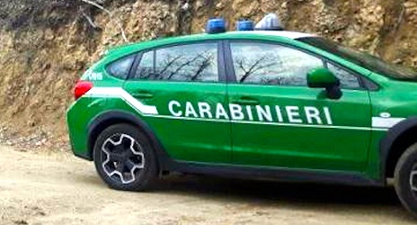 Carabinieri-Forestale-auto