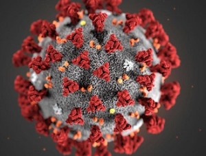 coronavirus_