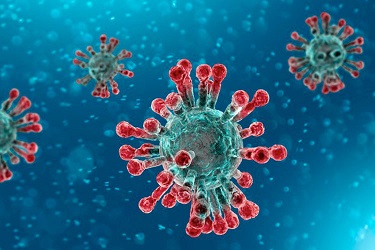 coronavirus