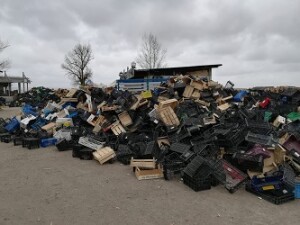 IMG-20201222-WA0013