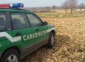 carabinieri-forestali