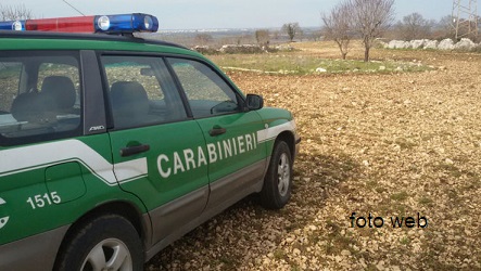 carabinieri-forestali