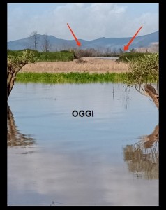 6061f0fd-c989-4f77-ae3b-8adb7b531210