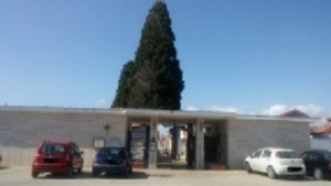 cimitero-grazzanise-300x169-1-300x169